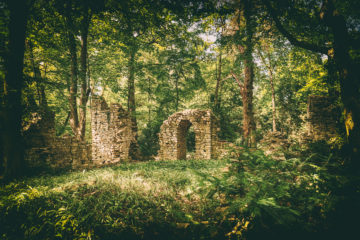 Ruins in the forest